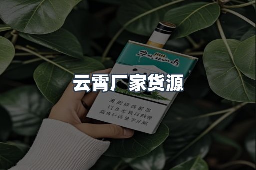 云霄香烟批发